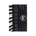 HOHNER Bravo III 120 harmonika 120 basova - Image 3
